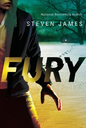 Fury book cover