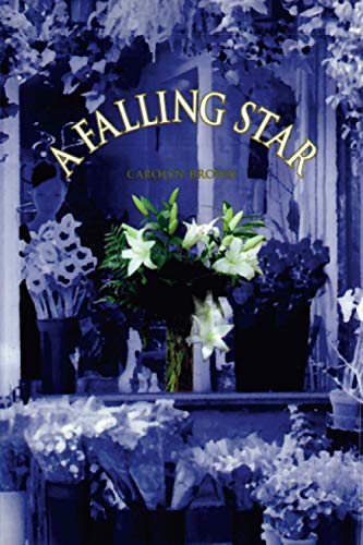 A Falling Star book cover