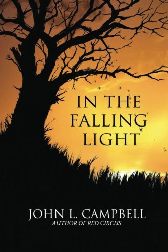 In The Falling Light book cover