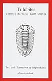 Trilobites Common Trilobites Of North America A Natureguide Book