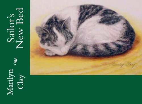 Sailor's New Bed book cover