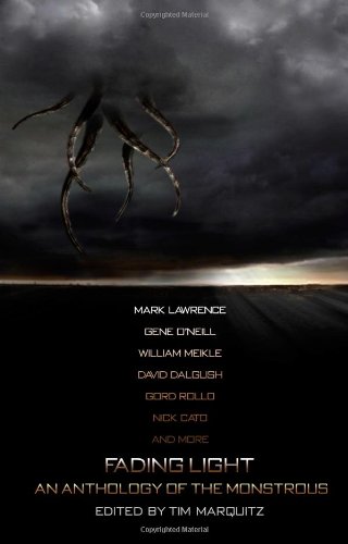 Fading Light book cover