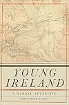 Young Ireland: A Global Afterlife (The Glucksman Irish Diaspora Series)
