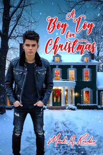 A Boy Toy for Christmas book cover