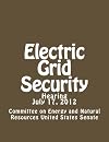 Electric Grid Security