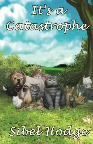 It's a Catastrophe book cover