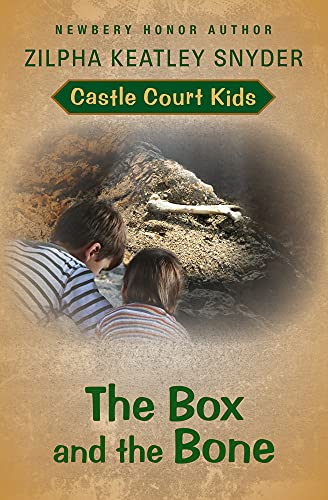 Cover of Box and the Bone