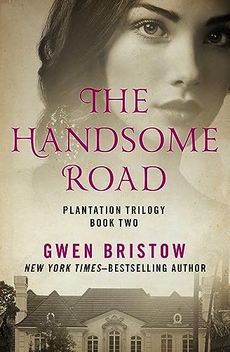 The Handsome Road book cover