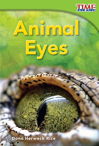 Cover of Animal Eyes