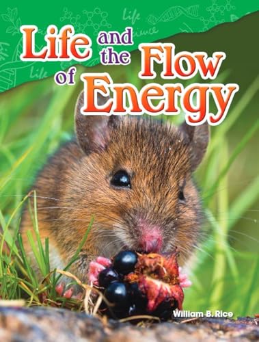 Cover of Life and the Flow of Energy