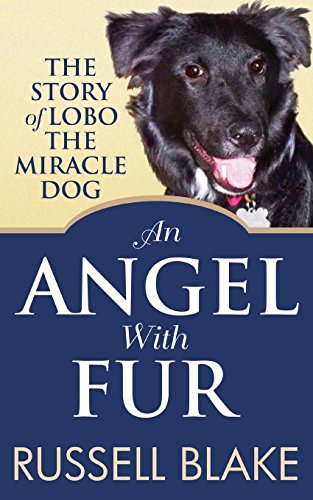 An Angel With Fur book cover