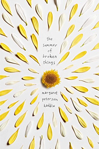 The Summer of Broken Things book cover
