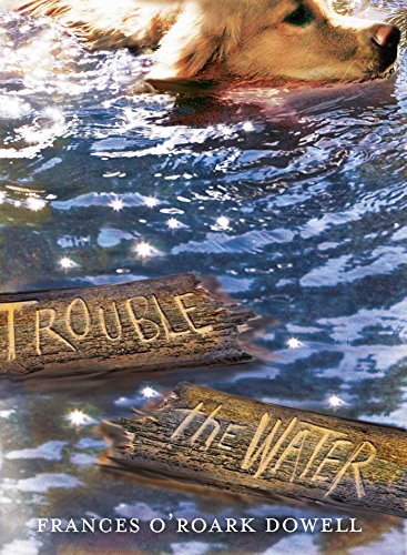 Cover of Trouble the water
