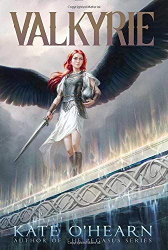 Valkyrie book cover