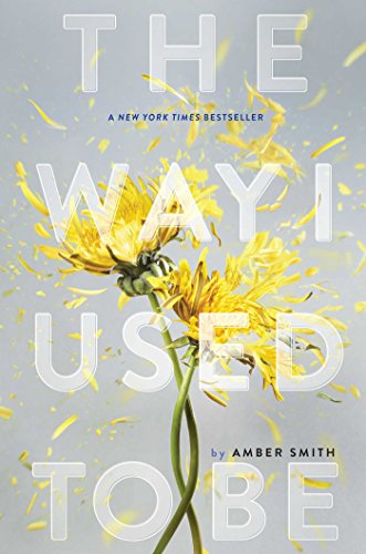 The Way I Used to Be book cover