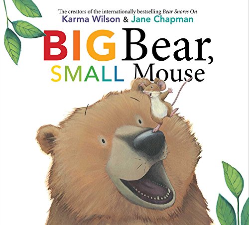 Big Bear, Small Mouse book cover