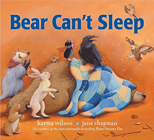 Bear Can't Sleep book cover