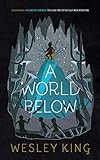 A World Below