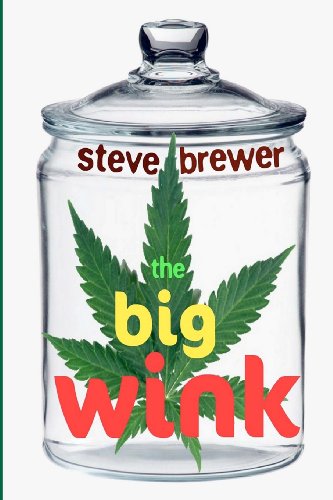 The Big Wink book cover