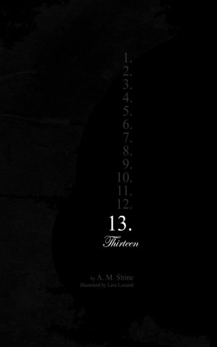 13 book cover