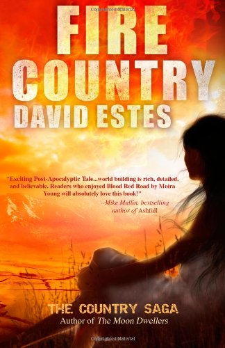 Fire Country book cover