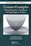 Counterexamples : from elementary calculus to the beginnings of analysis