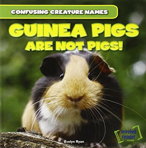 Cover of Guinea Pigs Are Not Pigs!