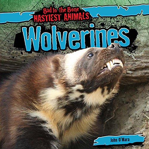 Cover of Wolverines