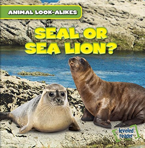 Cover of Seal or Sea Lion?
