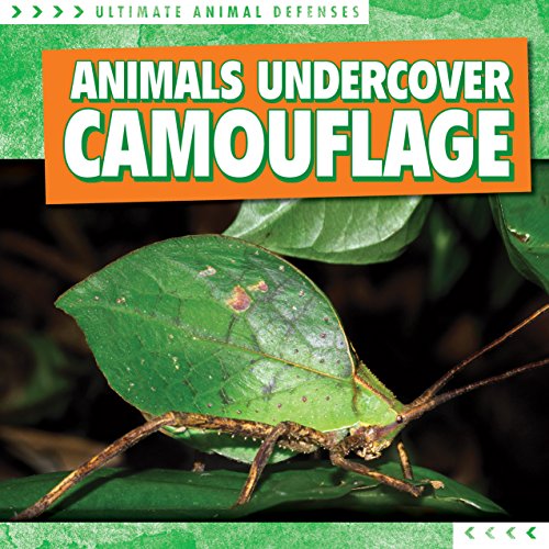 Cover of Animals undercover