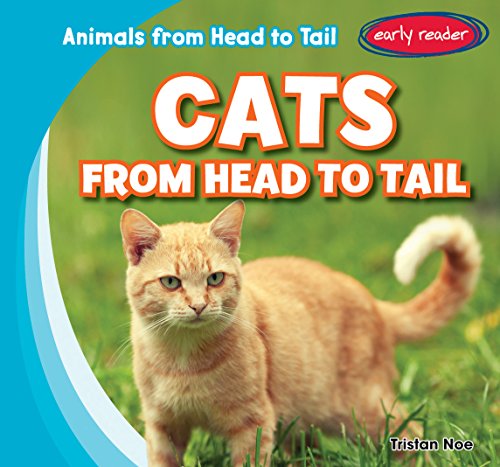 Cover of Cats from Head to Tail