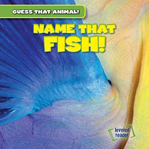 Cover of Name That Fish!