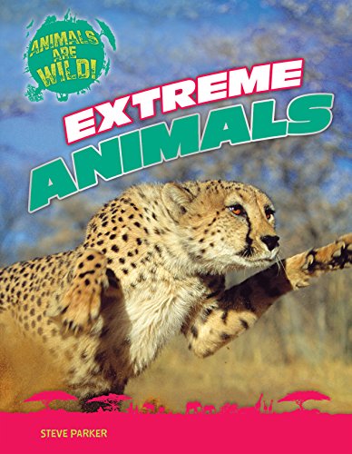 Cover of Extreme Animals