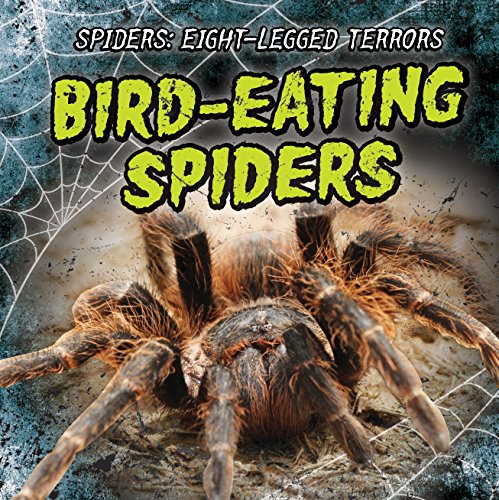 Cover of Bird-Eating Spiders