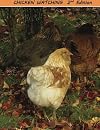 Chicken Watching