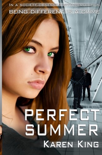 Perfect Summer book cover