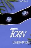 Torn (Jida's Quest) (Volume 1)