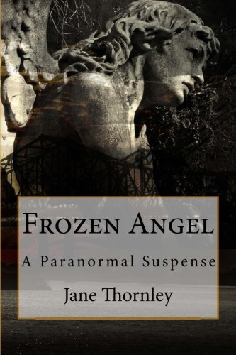 Frozen Angel book cover
