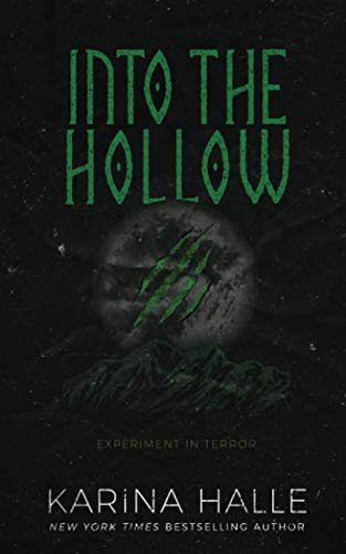 Into the Hollow book cover