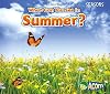 What Can You See in Summer? (Acorn: Seasons)