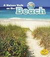 A nature walk on the beach