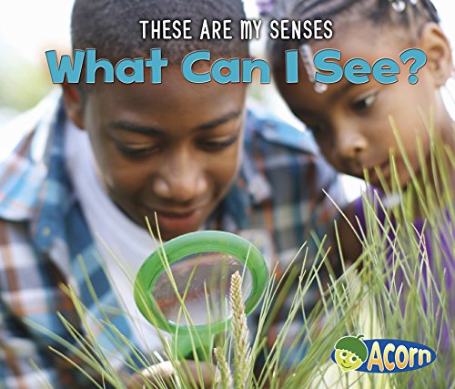 Cover of What Can I See?