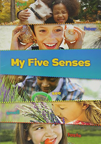 Cover of My five senses