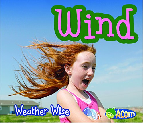 Cover of Wind