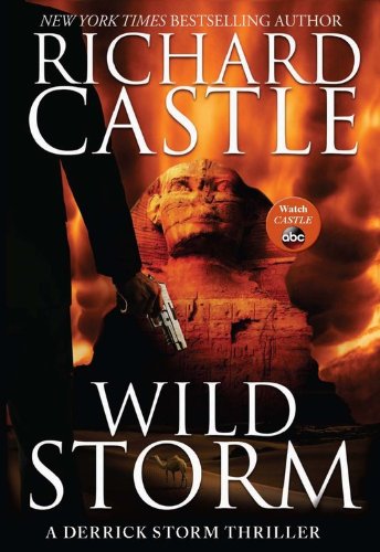 Wild Storm book cover