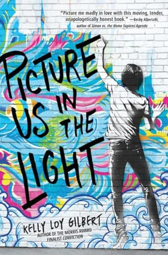 Picture Us in the Light book cover