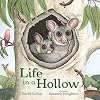Life in a Hollow