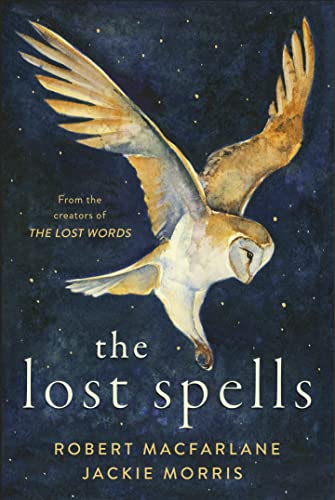 The Lost Spells book cover