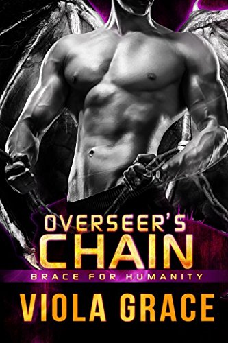 Overseer’s Chain book cover