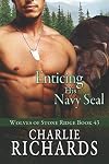 Enticing his Navy Seal